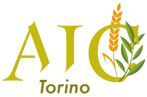 AICTorino